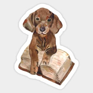 Clever little dog Sticker